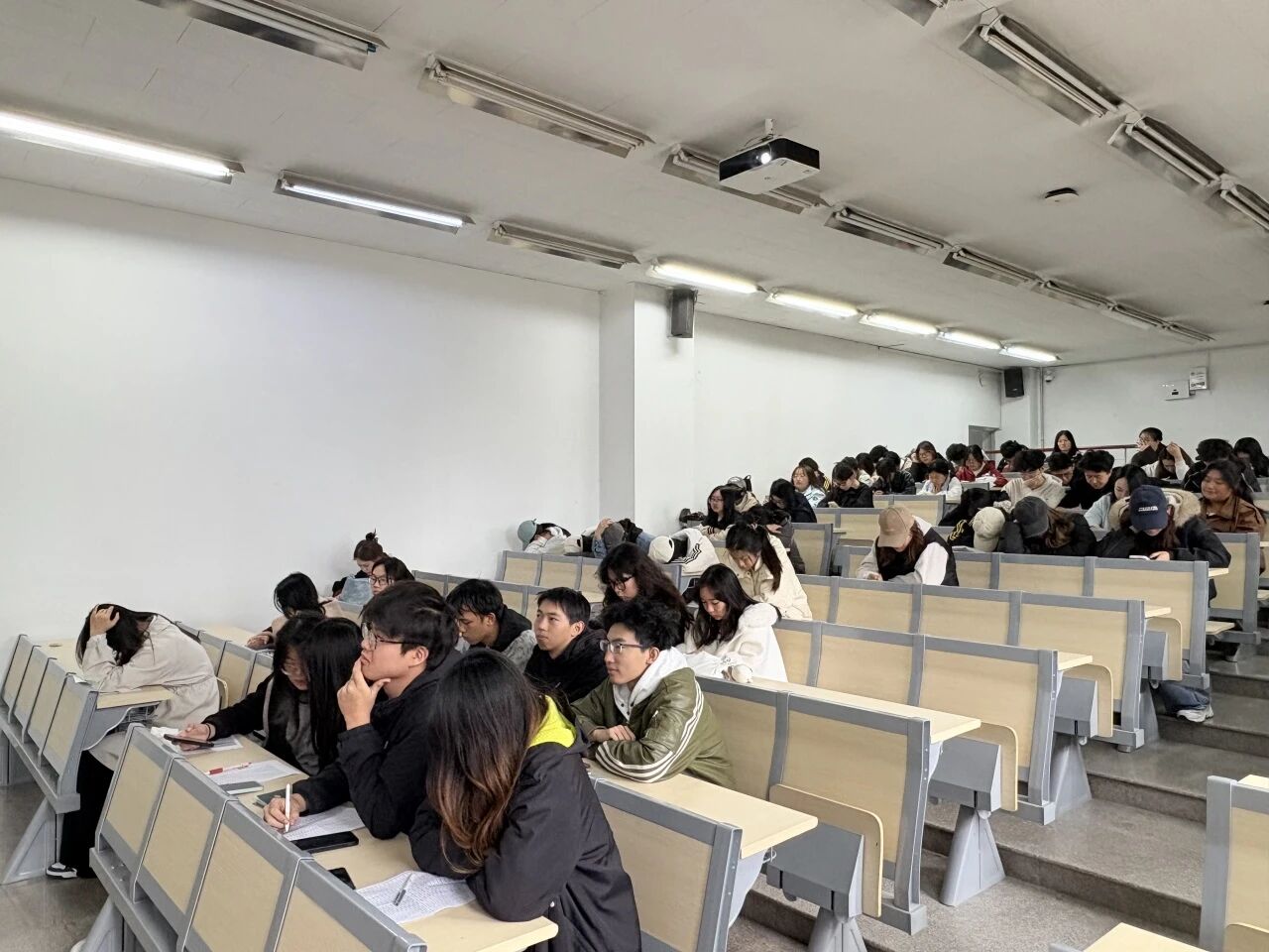 be31c4f111b05f000565c767dc035f68.jpg